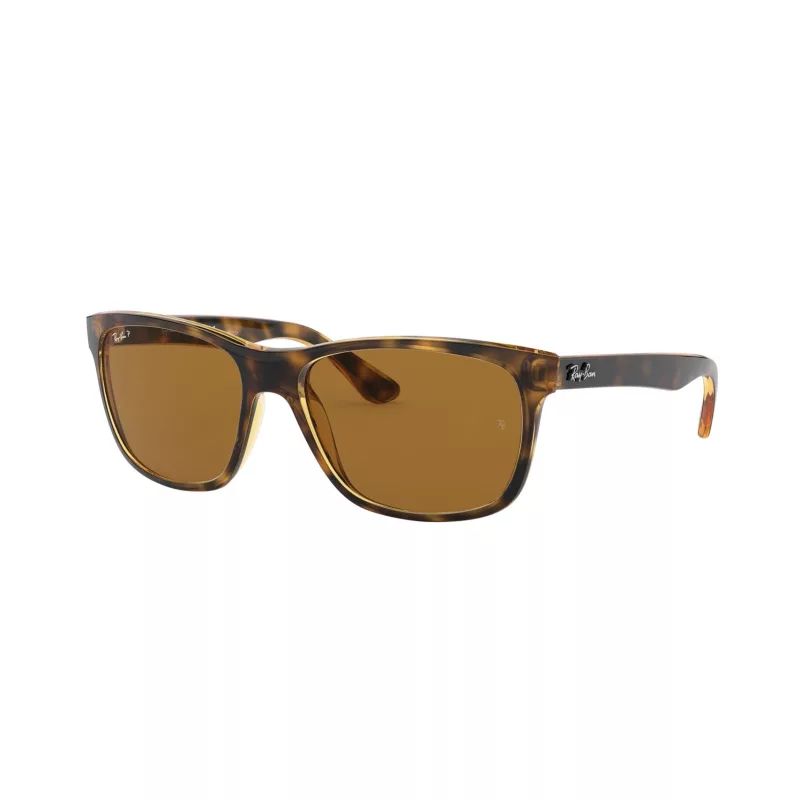 Gafas Ray-Ban RB4181 710/83