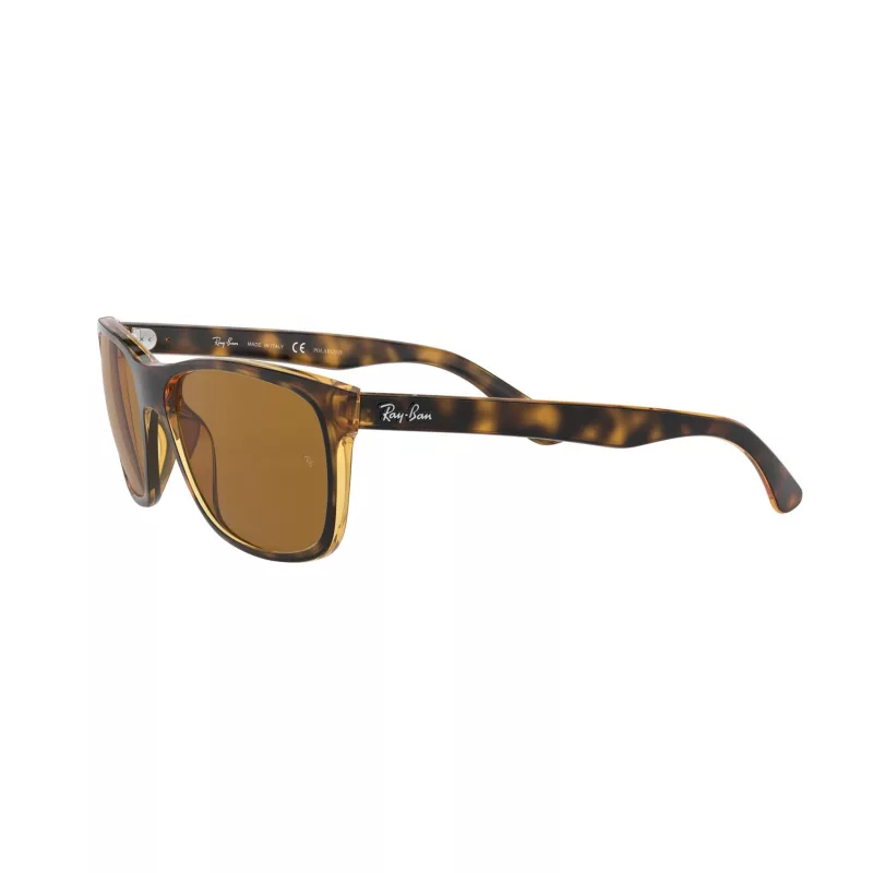 Gafas Ray-Ban RB4181 710/83