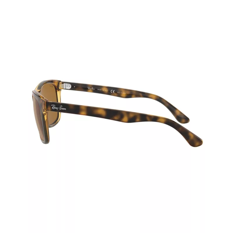 Gafas Ray-Ban RB4181 710/83