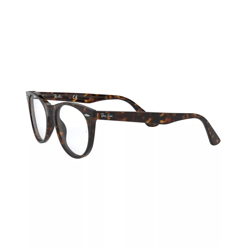 Montura Ray-Ban RX2185V 2012 Carey